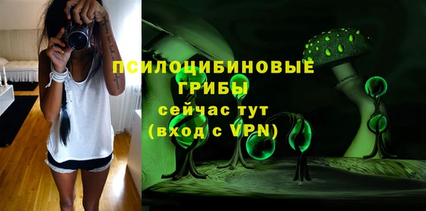 мдма Бородино