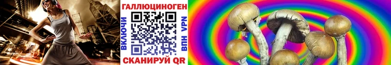 Галлюциногенные грибы Psilocybine cubensis  Тамбов 